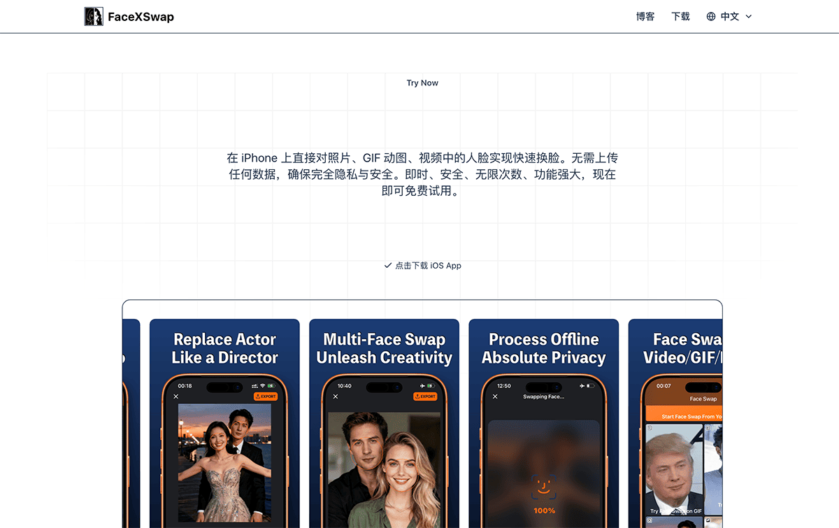 FaceXSwap